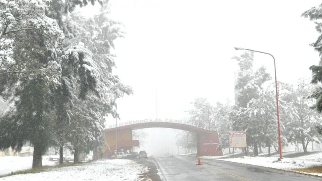 ola polar