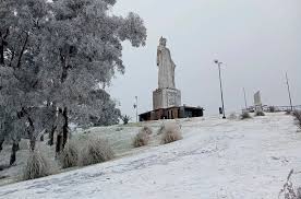 ola polar